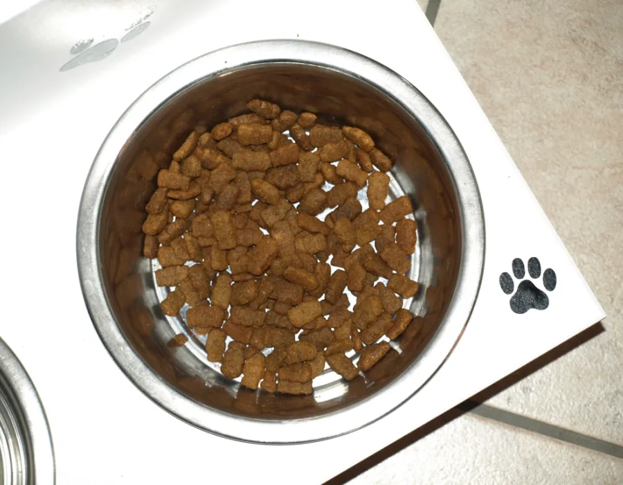 Dog Food