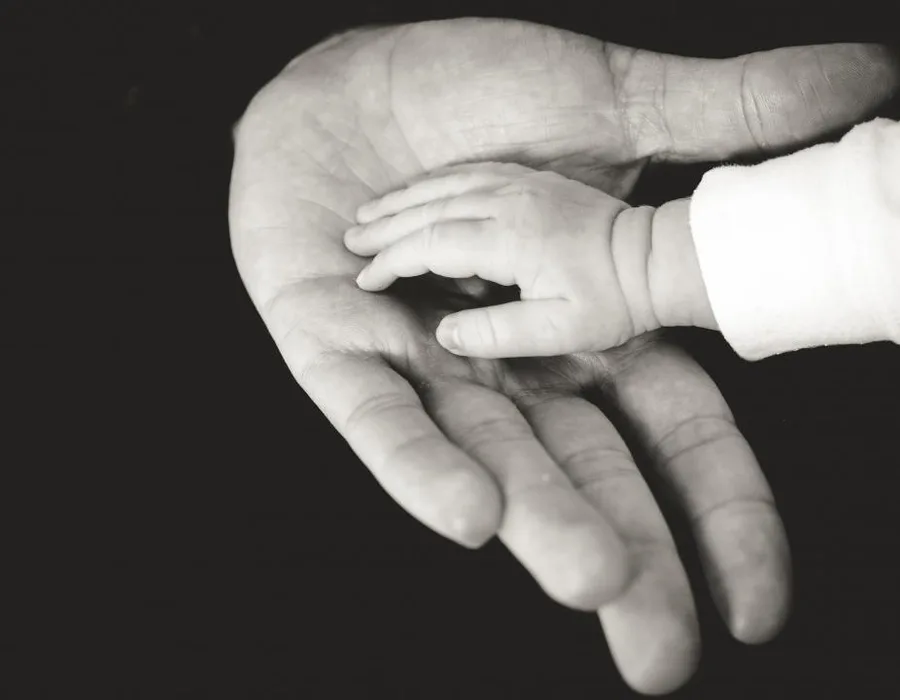 Life Insurance